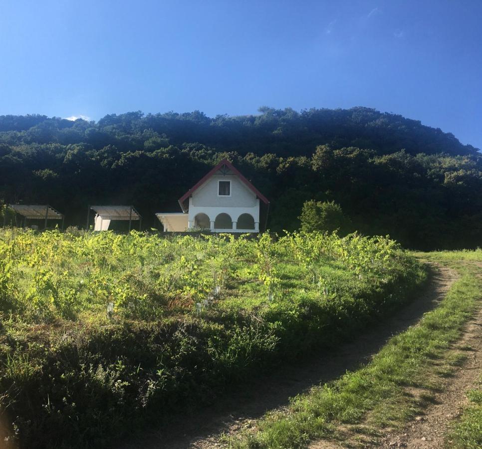 Chateau Segesdi Borapartman Gyulakeszi 외부 사진